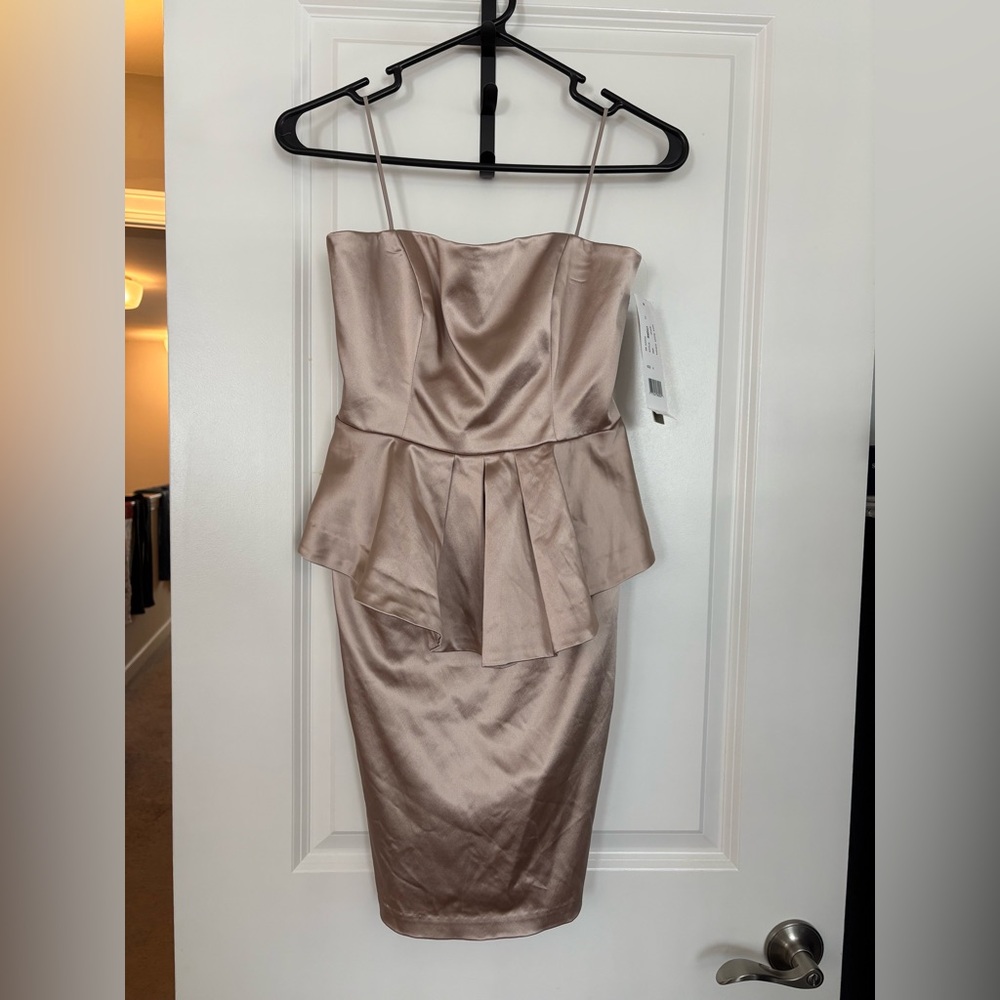 Nicole Miller Strapless Satin Dress in Champagne